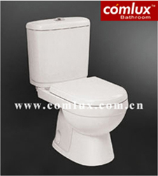 Washdown	Two piece toilet