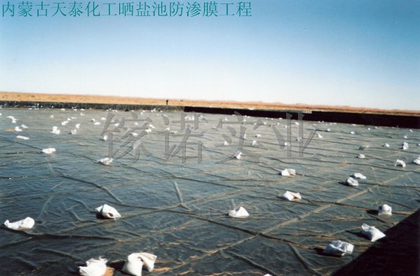 防渗膜（化工池防渗工程）