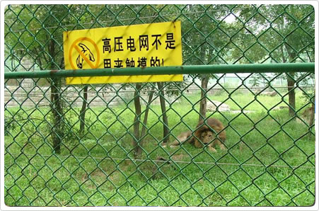 供应养殖用网