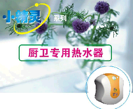 厨卫专用热水器