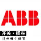 ABB防雷万能插座