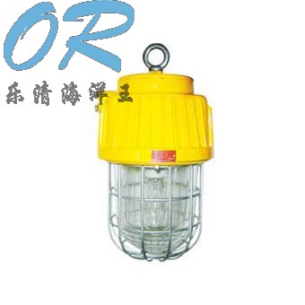 OR-DGS70/127B（B）矿用隔爆型泛光灯