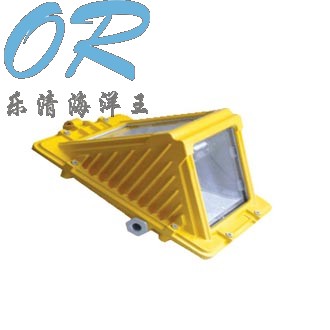 OR-DGS70/127B（C）矿用隔爆型巷道灯