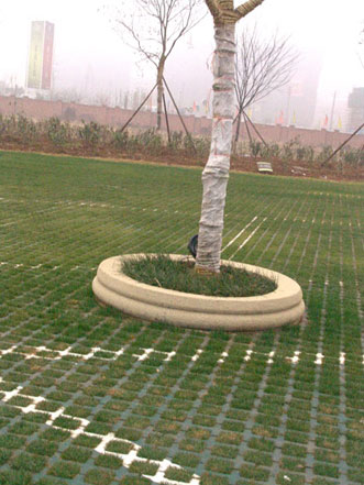 井字形植草砖、点式植草砖