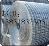 热镀锌钢丝网，镀锌钢丝网，冷镀锌钢丝网