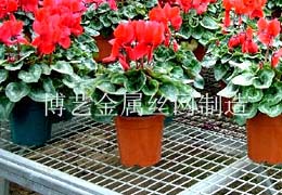供应苗床网