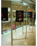 不锈钢展示架