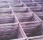 供应电焊网  镀锌铁丝网 不锈钢电焊网