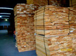 供应榉木板材