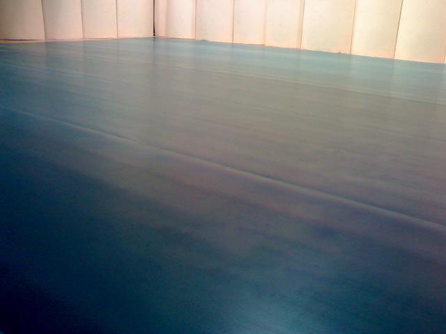 舞蹈地胶舞蹈房地板舞台地板