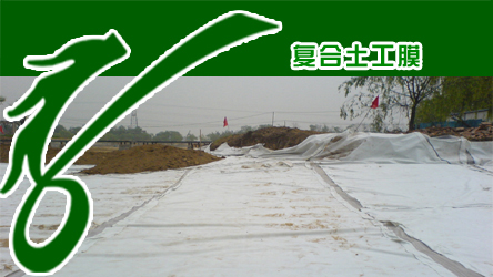 供应湖南防渗土工膜排水板