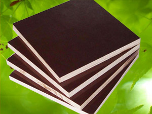 山东茂源建筑模板公司
