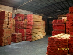 供应欧洲红榉木板材