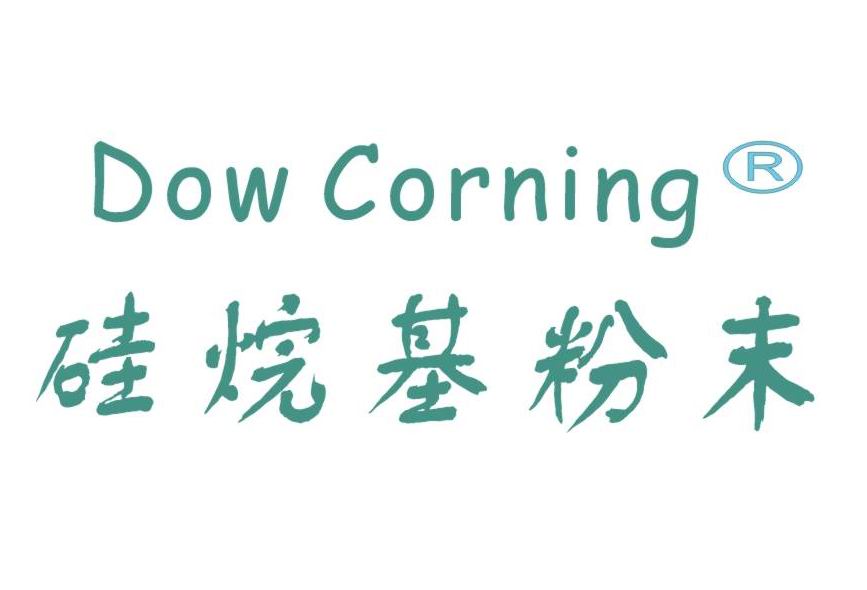 美国道康宁硅烷基粉末
