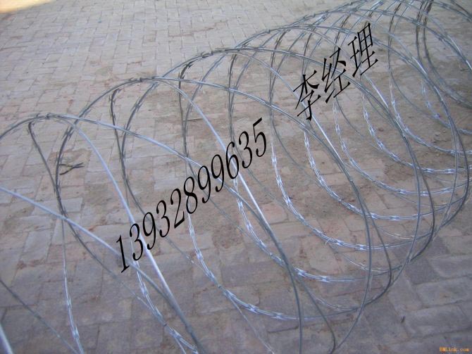 蛇腹形刀刺网  蛇腹型刀刺网 刺丝