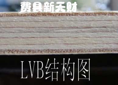 12厘全杨木LVB 胶合板