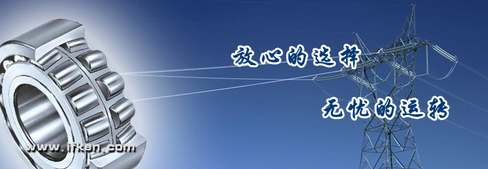 FAG进口轴承大全