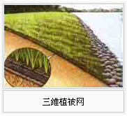 供应北京各地区土工格栅