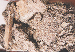 供应纪顺JS-101微电脑切带机
