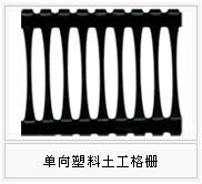 厂家直销焦作地区土工格栅  质优价廉 规格全