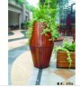 厦门花池
