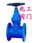 弹性软密封闸阀RVCX
