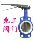衬氟蝶阀