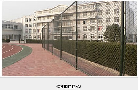 体育围栏网