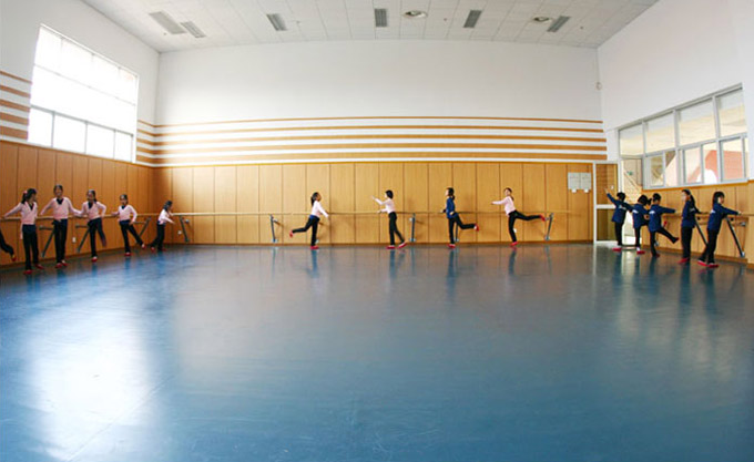 舞蹈PVC地板