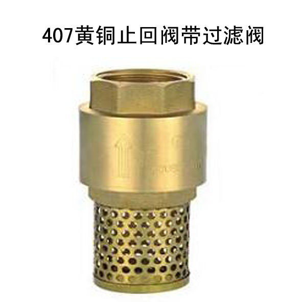 407黄铜止回阀带过滤阀。