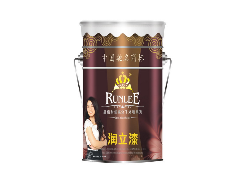 中国品牌广东dy低碳油漆涂料盛大招商