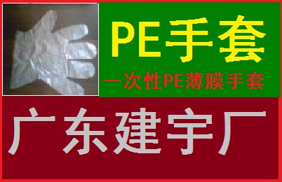 一次性PE薄膜手套/广东建宇劳保厂