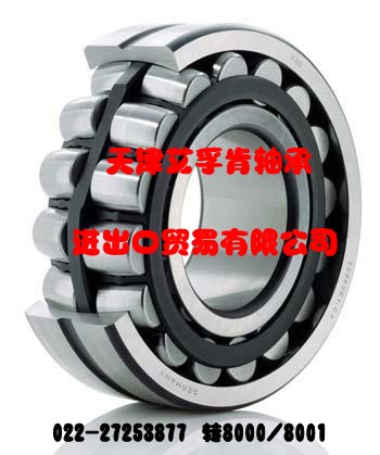 德国FAG进口圆柱滚子轴承代理销售
