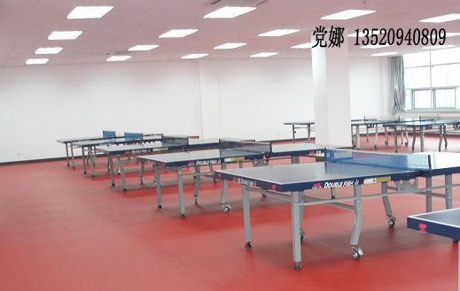 乒乓球专用地板乒乓球塑胶地板乒乓球地板胶