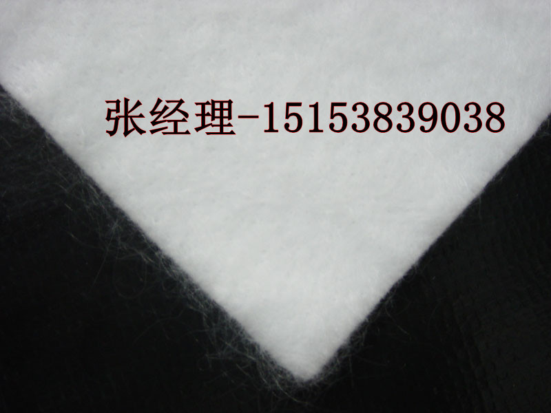 阿拉善专用永立土工布【无纺土工布热销】
