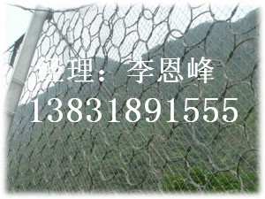 钢丝编织网/河南钢丝绳网批发/河北钢丝绳网生产基地