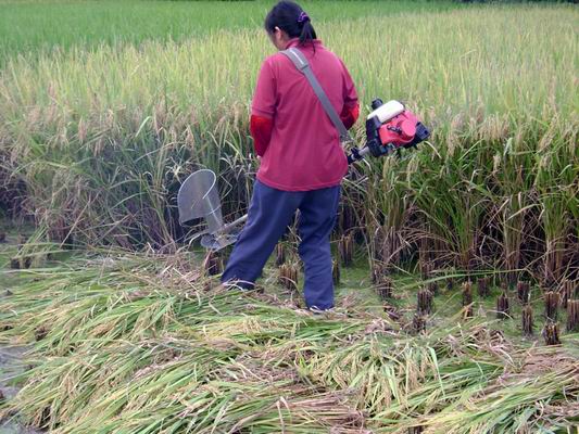 河南新型水稻收割机 背负式收割机