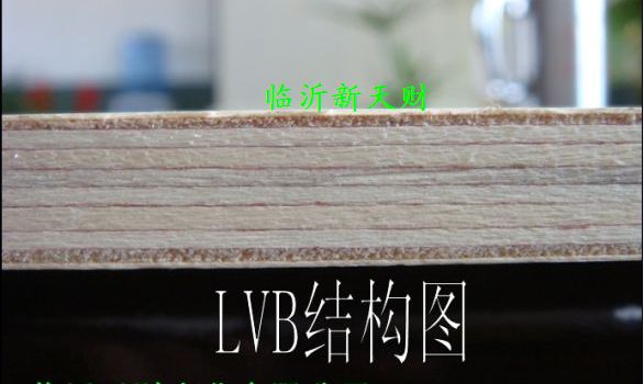 供应全杨木家具用多层板，漂白杨木LVB家具板