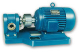 齿轮泵KCB300/煤焦油泵