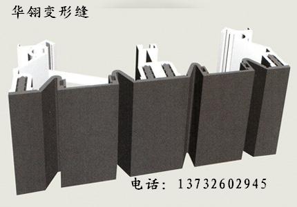 SER抗震型橡胶嵌平型外墙变形缝