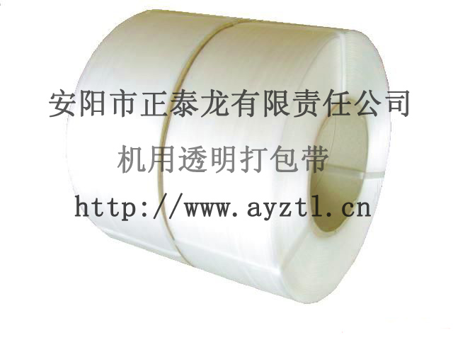 阻燃假顶带—安徽宁国塑料假顶网