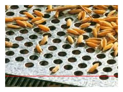 厂家供应粮库通风透气网，粮食=筛分滤网