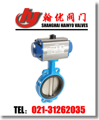 D671X气动蝶阀