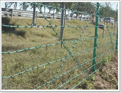 供应框架护栏网/高速公路护栏网