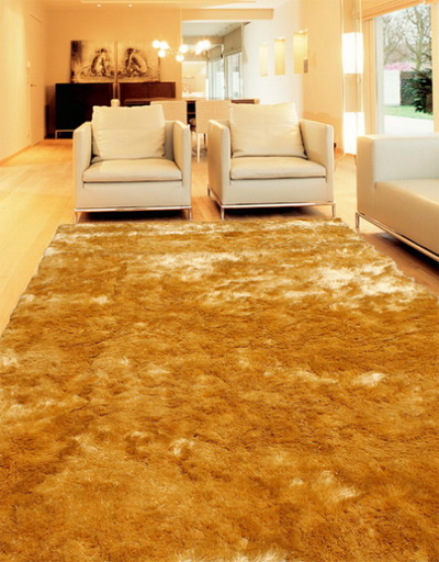 2012中国z受欢迎地毯
