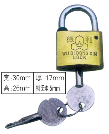 十字锁,铜挂锁,防水表箱锁