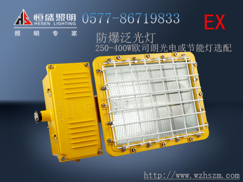CTD5130防爆泛光灯