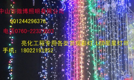 亮化彩灯 LED彩灯 树上装饰彩灯 节日装扮彩灯