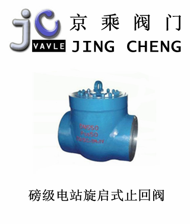 磅级电站旋启式止回阀