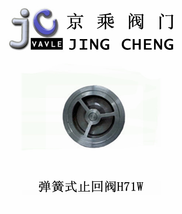 弹簧式止回阀H71W